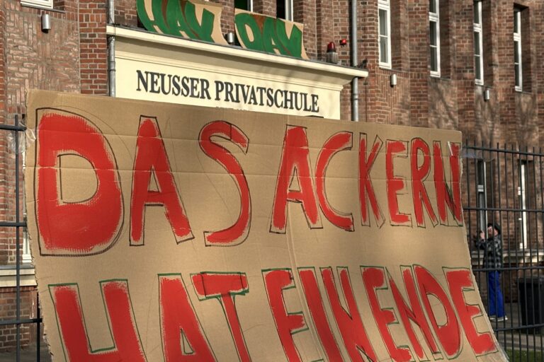 20250411_065638164_iOS